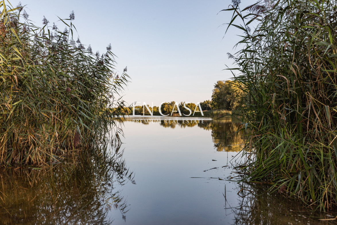 Plot Sale Dziekanów Polski Rolnicza 5